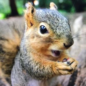 Meet your Posher, Gabriel